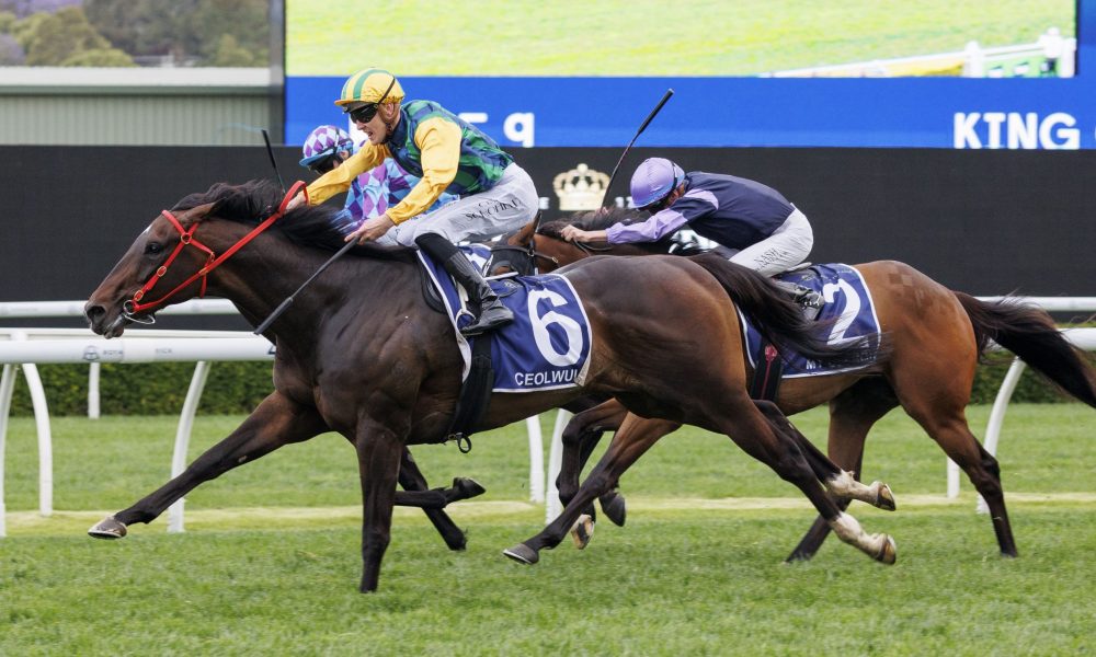 的引援决策 的引援决策