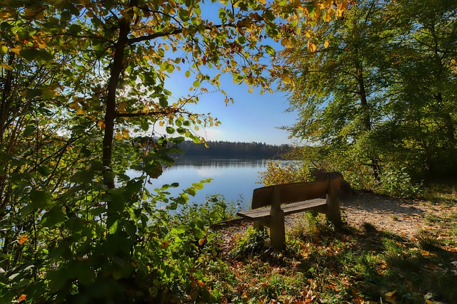 虑的重要因 虑的重要因