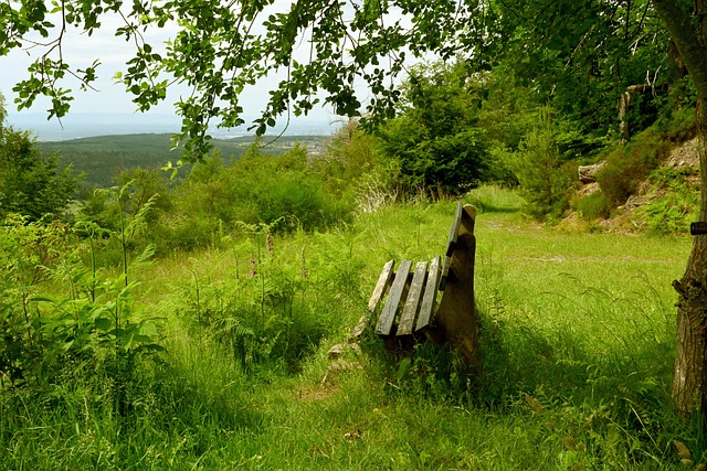 证为真实且 证为真实且